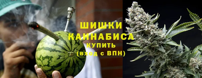 наркотики  Александровск  Канабис White Widow 